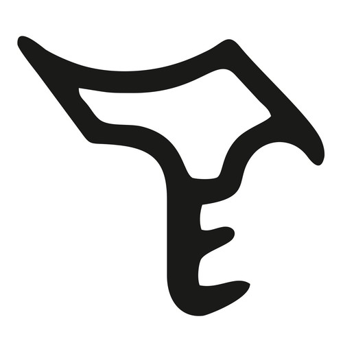 Türdichtung